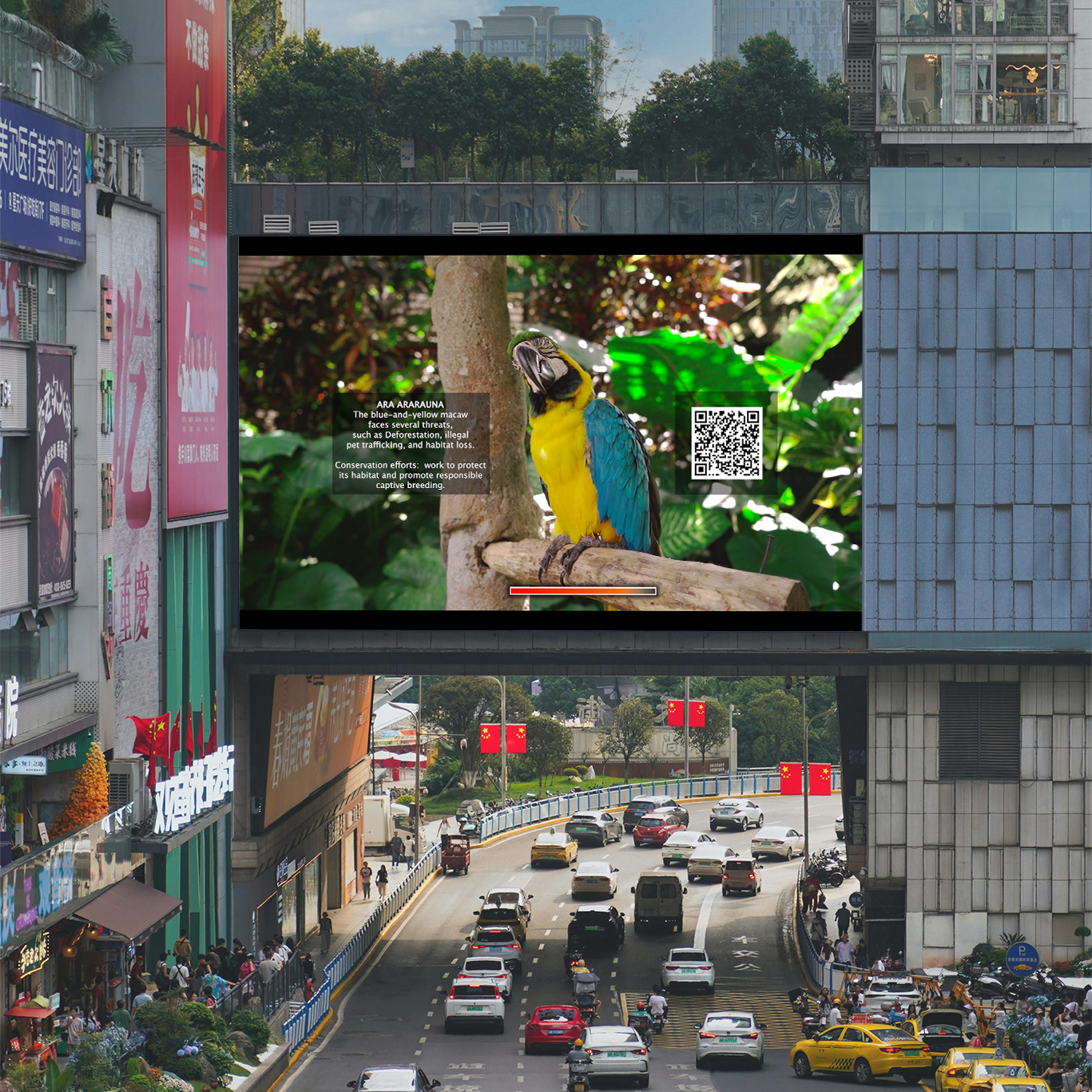 Screens on the streets