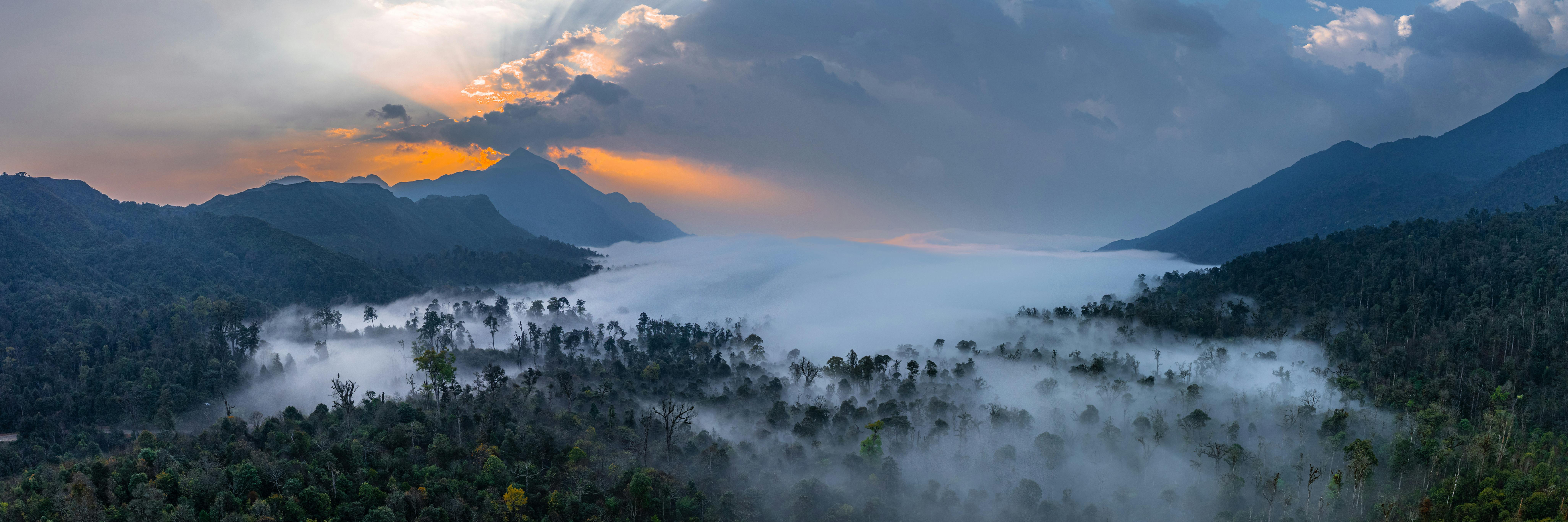 Fog over Amazon Rainforest at Dusk